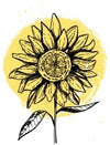 Sunflower with black color