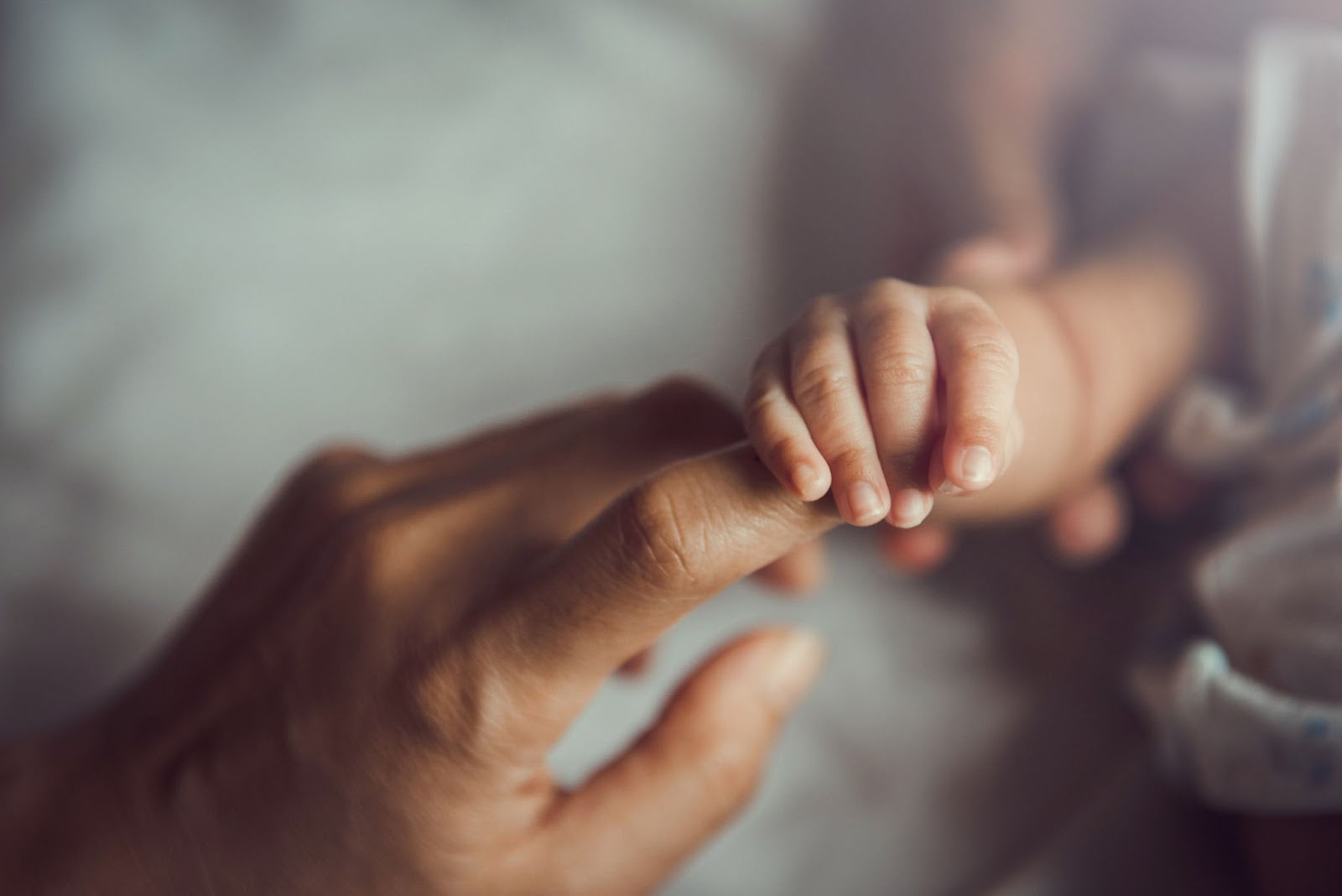 An adult hand gently holding a baby's hand in a soft-focus setting.